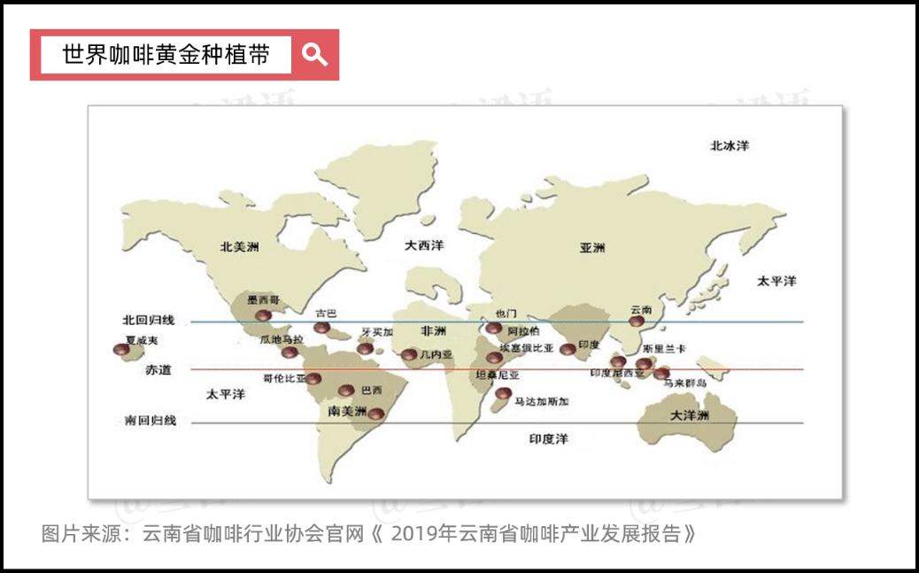中国西南部的“咖啡世界”